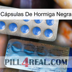 Cápsulas De Hormiga Negra 40